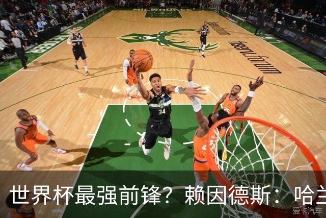 世界杯最强前锋？赖因德斯：哈兰德是我朋友，但我坚持要选加克波