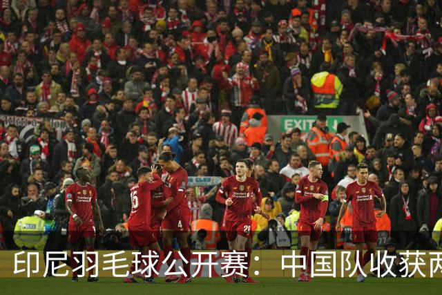 印尼羽毛球公开赛：中国队收获两项亚军