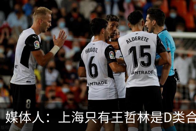 媒体人：上海只有王哲林是D类合同 剩余两个顶薪或给张镇麟李弘权