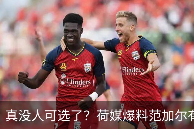 真没人可选了？荷媒爆料范加尔有意复出接手荷兰队